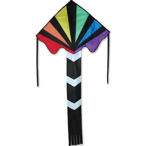 Black Rainbow Large Easy Flyer