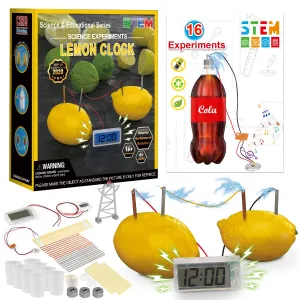 Fruit Battery Science Experiment Kit