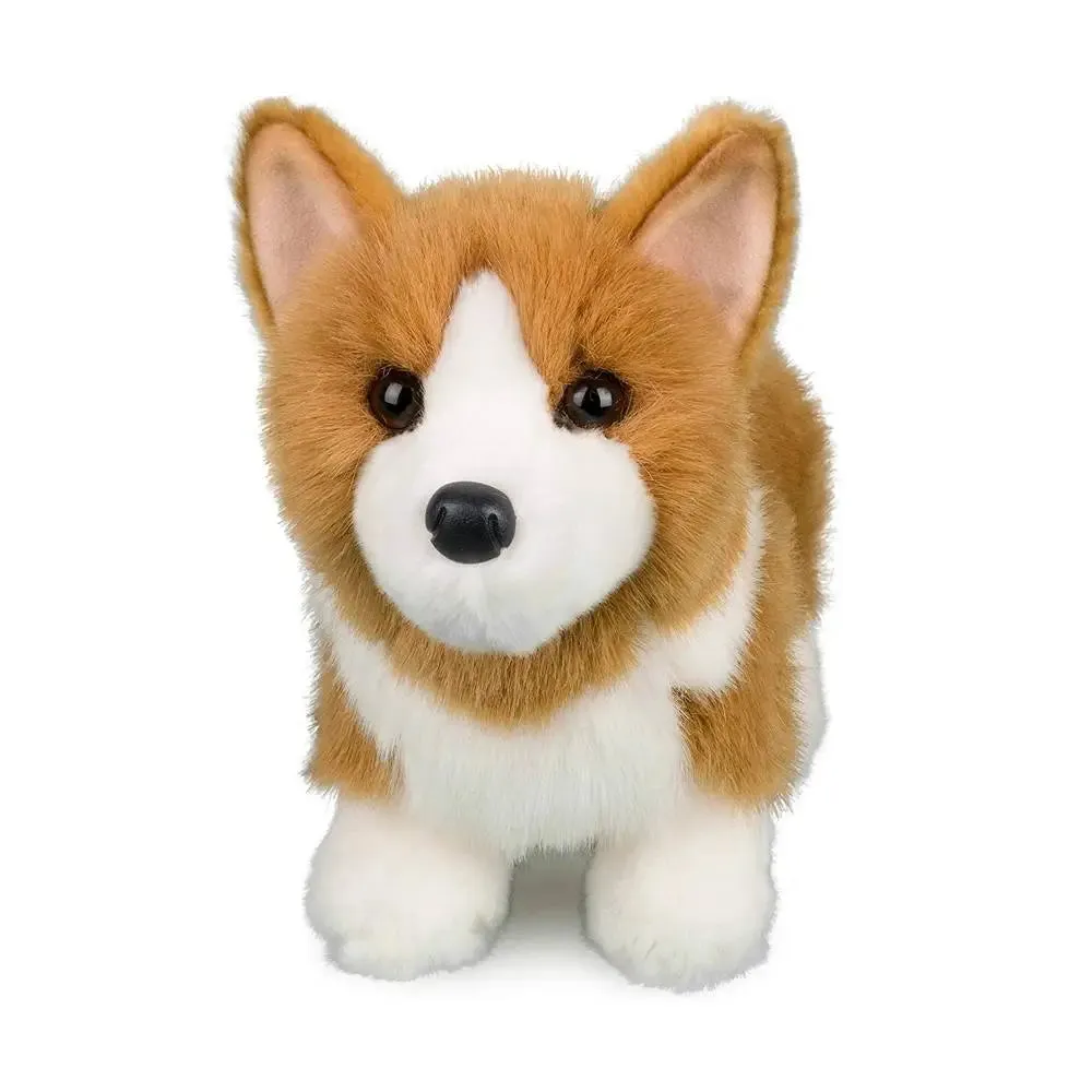 Louie Corgi 10