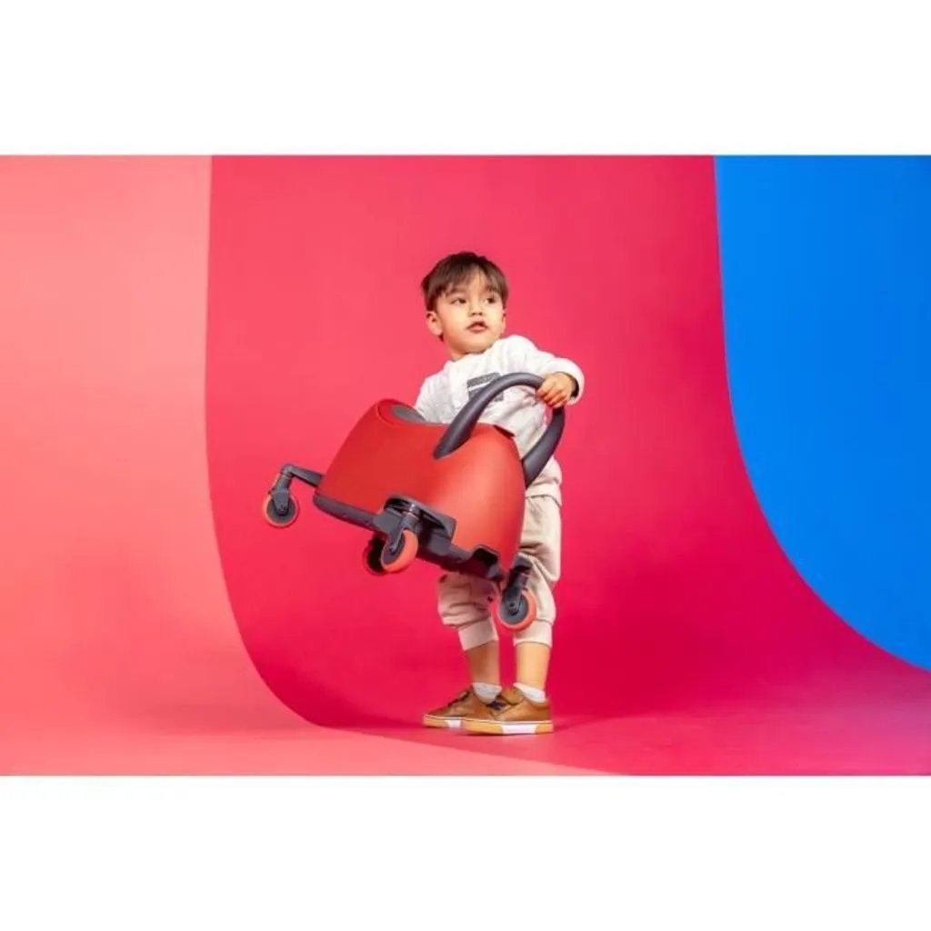 Yglider Luna 5-in-1 Roller Rider - Der ultimative Begleiter für abenteuerlustige Kids! 🌟🌈